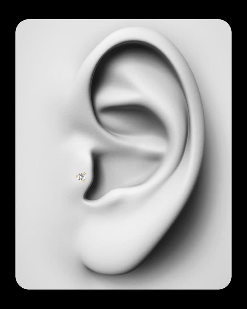 Piercing Tragus