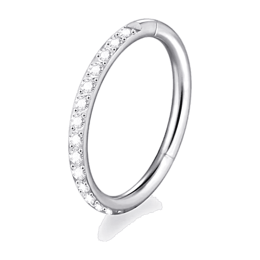 Argola Eternity com Zircônias (2) - Prata