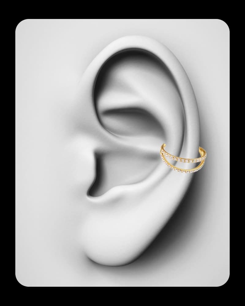 Piercing Conch