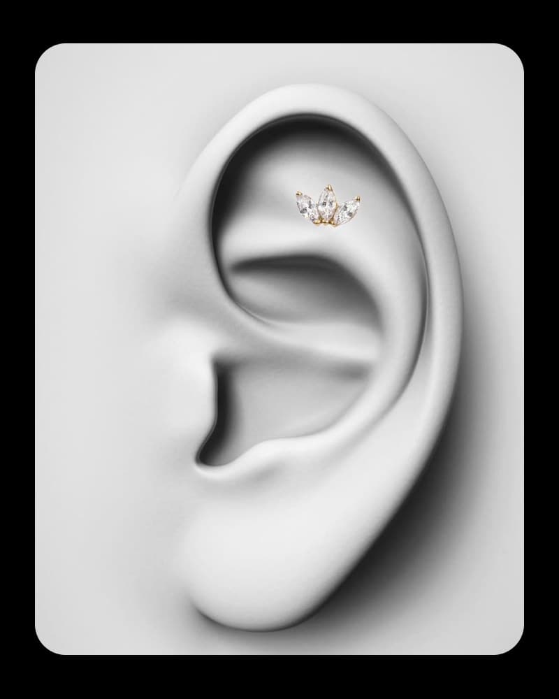 Piercing Flat